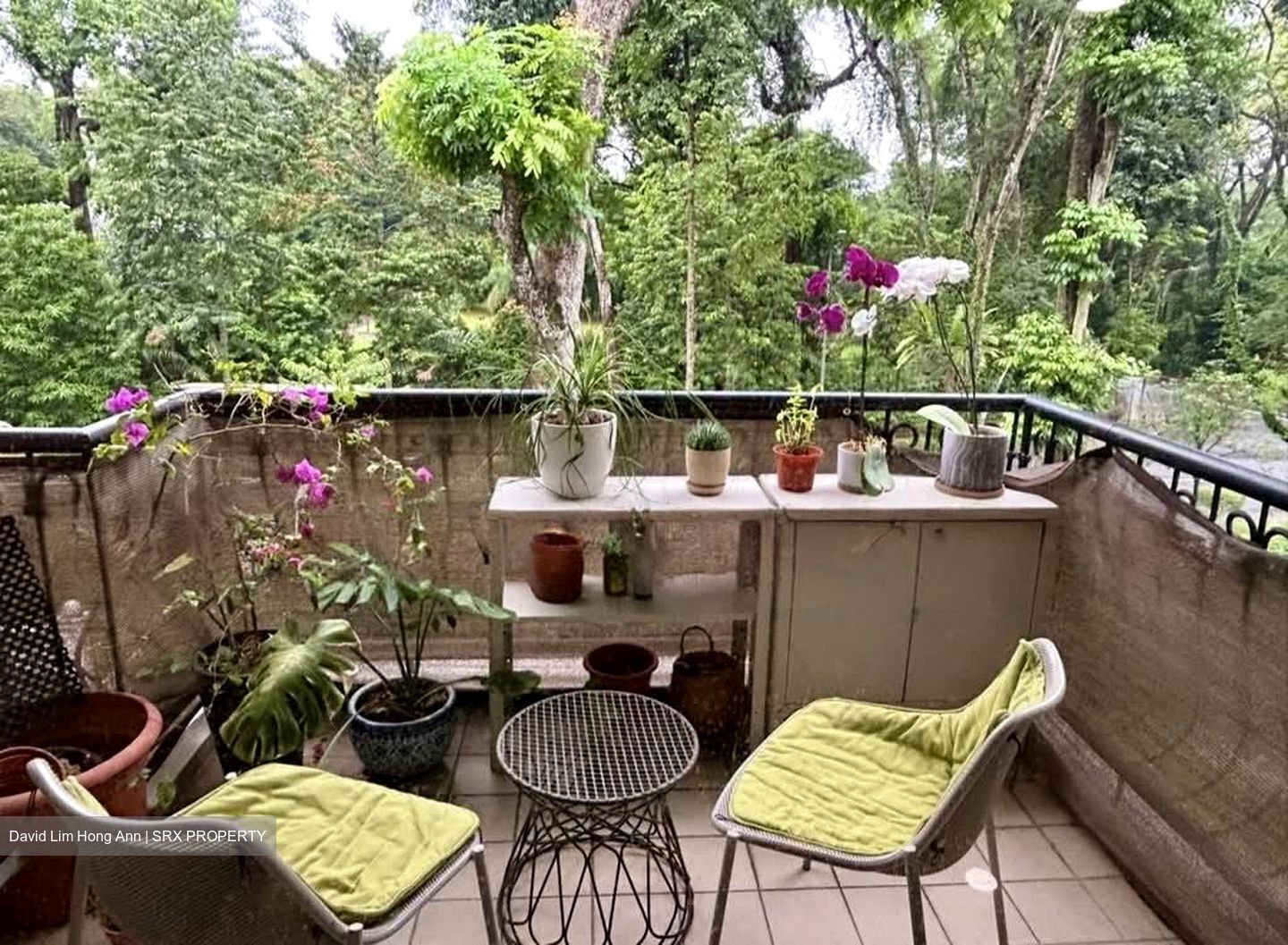 Tanglin Park (D10), Condominium #548540341